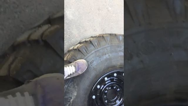 Шина низкого давления Бел-64 16.00-20 смотреть онлайн