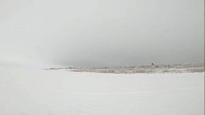 Рыбалка у чёрной дыры. Ловля налима. Сороковая серия.