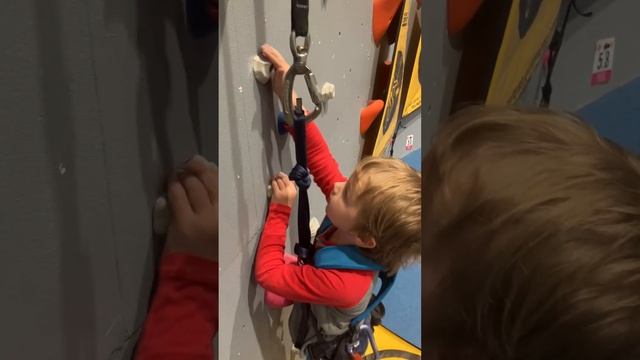 IMG 0024 1 смотреть онлайн