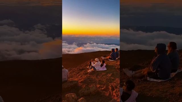 𝖑𝖊𝖌𝖊𝖓𝖉𝖆𝖗𝖞 𝖘𝖆𝖒𝖚𝖗𝖆𝖎