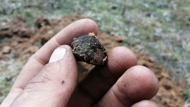 Поиск на старом урочище...... смотреть онлайн