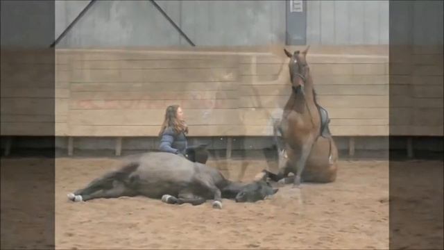 Mon héro Alicia Dosogne смотреть онлайн
