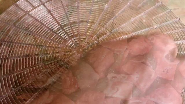 Самый ПРОСТОЙ и ПОЛЕЗНЫЙ РЕЦЕПТ для вашей собаки.Говяжье легкое.#рецепты#легкое#простыерецепты# смотреть онлайн