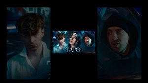 песня таро Егор шкред Амина и Егор крид