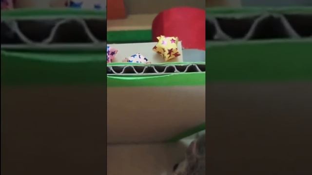 DIY Prepare Smarting Game For My Hamster смотреть онлайн