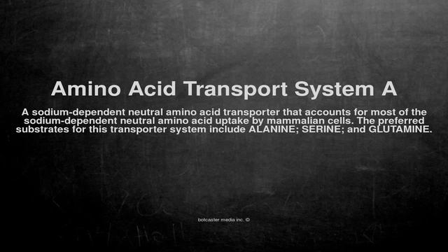 Medical vocabulary: What does Amino Acid Transport System A mean смотреть онлайн