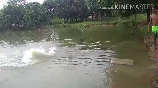 School Jibon sera mastiff video смотреть онлайн