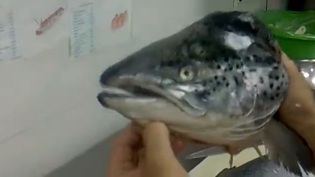 меня зовут Виталька)) смотреть онлайн