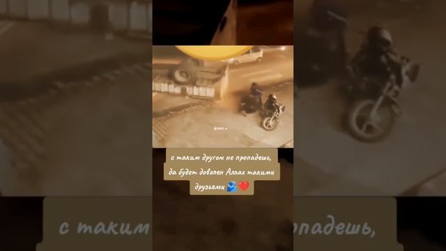 Ради таких друзей надо жить. смотреть онлайн