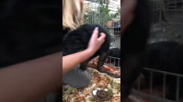 Нам сегодня три недельки🫶 и первый раз мы пробуем мяско 😋 смотреть онлайн