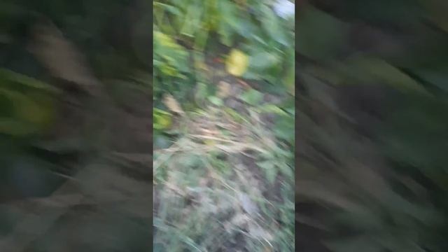 Втягиваюсь к работе 🤣 смотреть онлайн