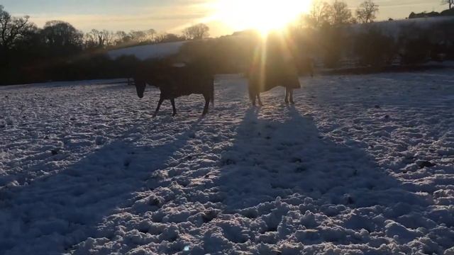 Raven and Spirit snow angels смотреть онлайн
