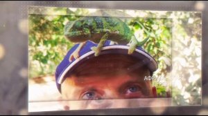 Черничный Хутор в Африке.