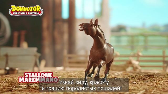 Степные рысаки Sbabam смотреть онлайн