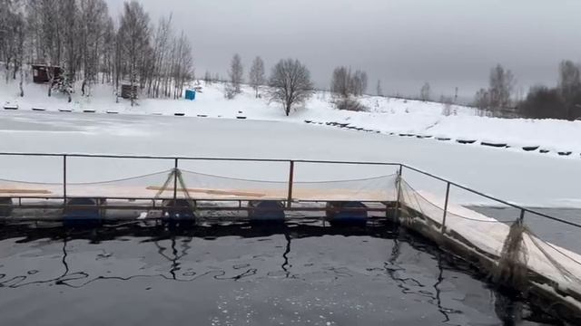 11-12-2024 смотреть онлайн