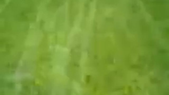 trial 125 cc смотреть онлайн