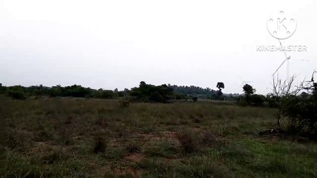 Deal-94. 5 Acre's Dry land 1 Cent 6000 k смотреть онлайн