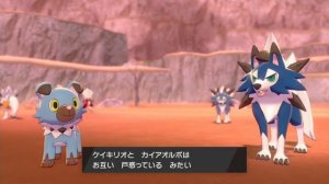 【Pokemon Camp】Rockruff・Lycanroc（Midday・Midnight・Dusk）＆Shiny
