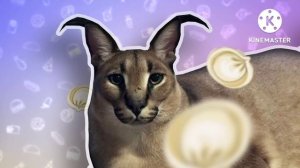 Песня про пельмени