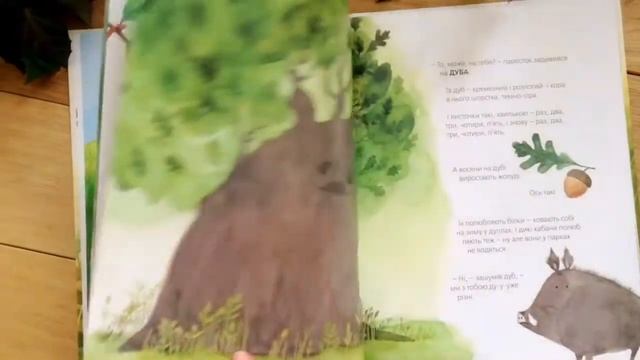 Огляд дитячої книги "Хто росте у парку" від ВСЛ смотреть онлайн