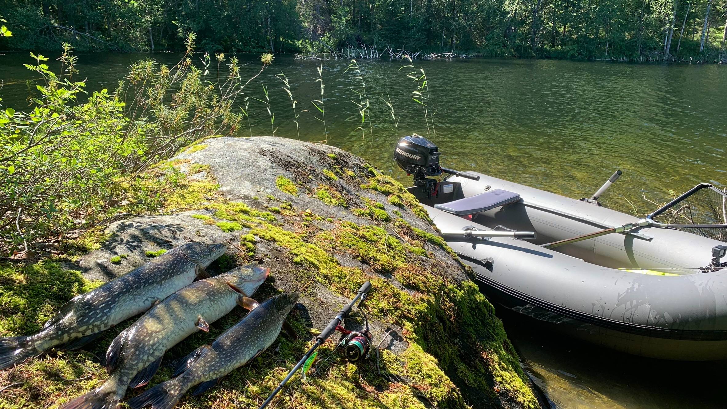 Наловил ЩУКИ на КИТАЙСКИЙ воблер | Рыбалка в Архангельской области | Ловля щуки на спиннинг смотреть онлайн