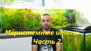 Итоги меристемного эксперимента, часть 2.