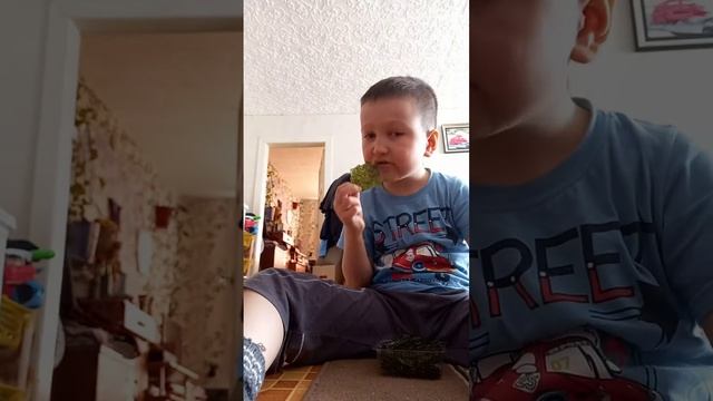 пробуем чипсы нори доширак с солью смотреть онлайн