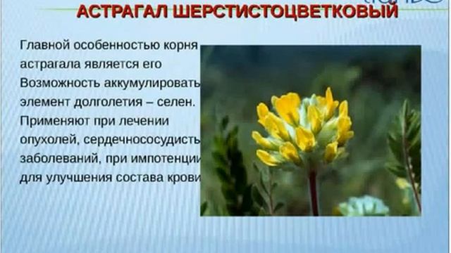 Результаты применения продуктов смотреть онлайн