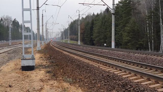 приветливые эдэшки, ЭД4М-0071 и 0059 и весенний лес возле платформы Мичуринец смотреть онлайн
