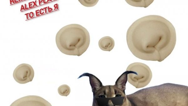 ХОРОШИЕ ПЕЛЬМЕНИ ЭТО ОЧЕНЬ ОЧЕНЬ ВКУСНО REMIX