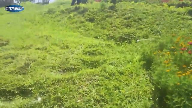 batu flower garden Indonesian natural tourism смотреть онлайн