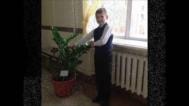 3в фильм Растения и мы смотреть онлайн