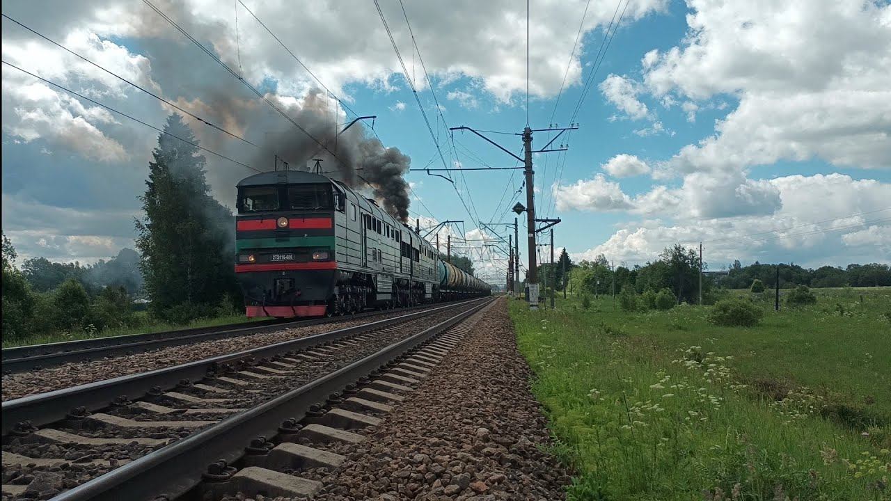 "Приветливый медведь!" Отправление 2ТЭ116-686 "БТС" с грузовым поездом, станция Сиверская смотреть онлайн