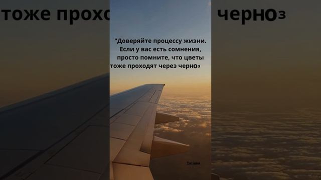 Доверяйте процессу жизни Если у вас есть сомнения, просто помните, что цветы тоже проходят через ч смотреть онлайн