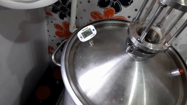 Экстракция вишни с косточкой смотреть онлайн