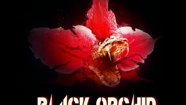 Black Orchid - Gonna stay Home with my Guns and Smoke смотреть онлайн