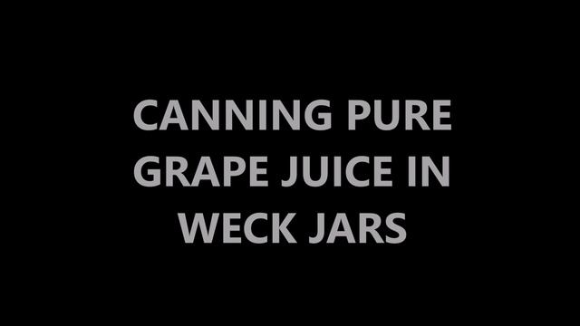 Canning Jars | Weck VS Ball | How To Can Grape Jelly And Juice смотреть онлайн