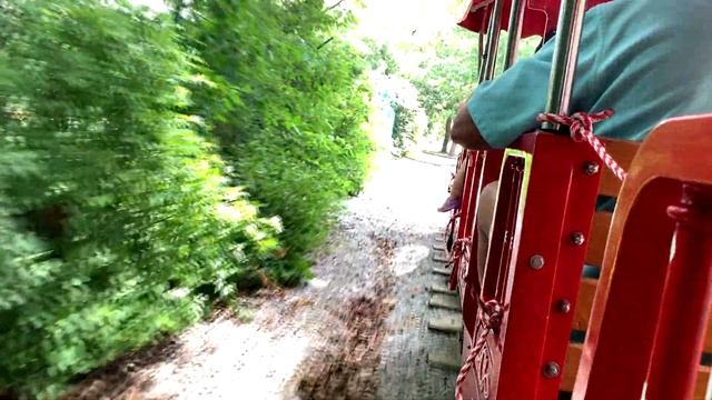 New Electric Train at the Lincoln Children's Zoo смотреть онлайн