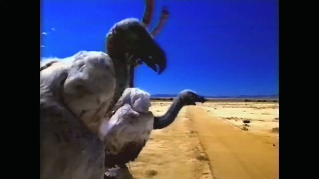 1999-05-16 - City-TV - Commercials during Atomic Train - Volume 1 смотреть онлайн