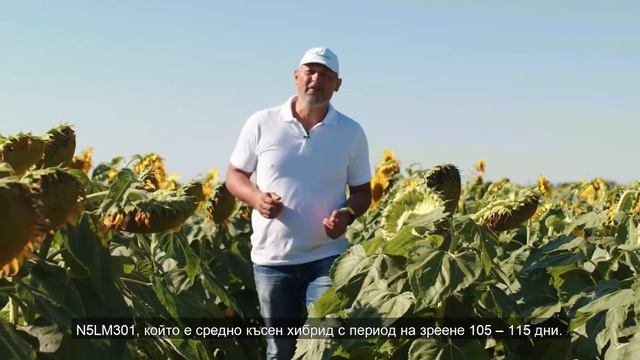 Nuseed България - Сегмент ONYX ® смотреть онлайн