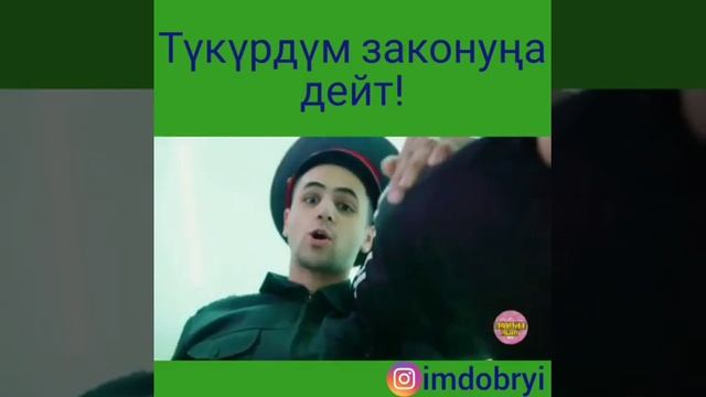 Кок жар 2019(16) смотреть онлайн