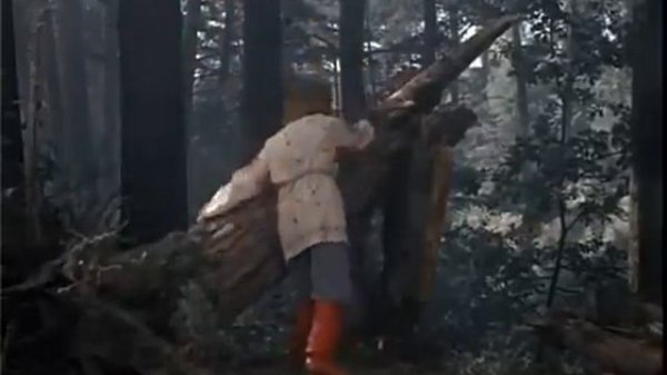 Mrazík - Česká pohádka