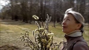 Я расскажу березе как подружке