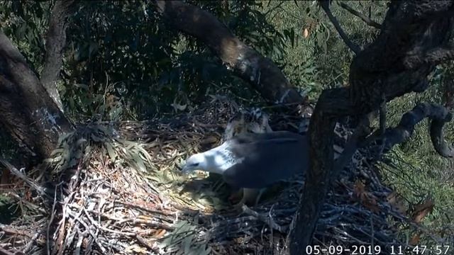 Down under in Oz: I just wish my kiddies would make their bed in the morning. 4 9 19 смотреть онлайн