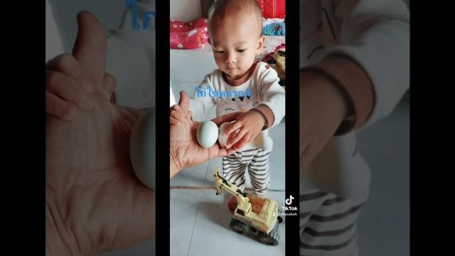 ไก่ไข่หลากสี смотреть онлайн