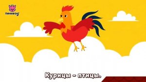 Животные, Животные!🐒