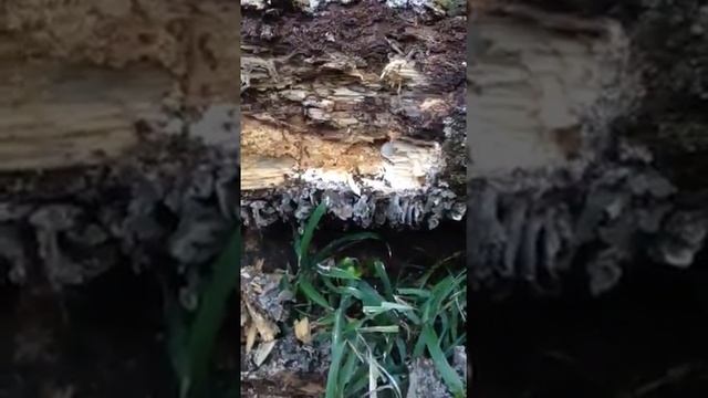 三重県3令1 смотреть онлайн