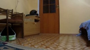 Трансформер Бамблби и Кирито