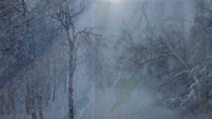 СЕРГЕЙ ЕСЕНИН.  «  Я ПО ПЕРВОМУ СНЕГУ БРЕДУ... «  ( видеоклип)