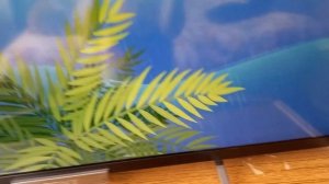 @ADME_RU история земли от самого старого обитателя